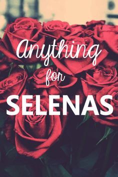anything for selenas